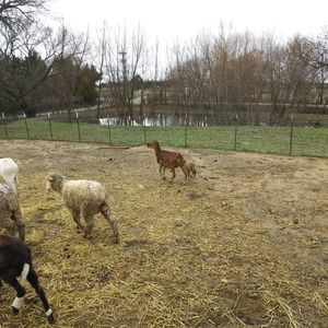 Meet your Posher, Patrick